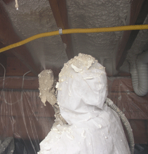 Los Angeles CA crawl space insulation